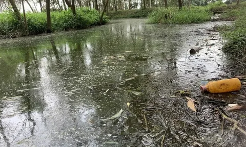 ĐTM duyệt một đằng, chủ trại thực hiện một nẻo