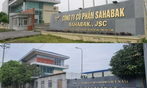 Những dự án 'bánh vẽ' ngàn tỷ ở Bắc Kạn: [Bài 2] Làm lỗ để thâu tóm?