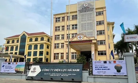 Vào cuộc làm rõ phản ánh “sân sau” trong đấu thầu của Phó giám đốc Điện lực Hà Nam