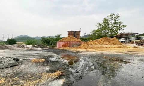 Thanh Hóa: Xưởng bột giấy hoạt động “chui” chính quyền không biết hay làm ngơ ?