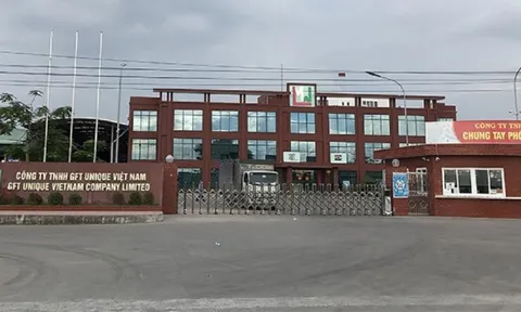 Công ty GFT UNIQUE Việt Nam bị xử phạt 130 triệu đồng do xả thải vượt chuẩn ra môi trường