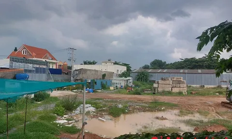 Dự án Tecco Felice Homes vẫn là bãi đất trống, chưa đủ điều kiện mở bán