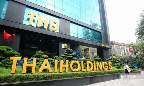 Chân dung Thaiholdings: Thaiholdings có gì hấp dẫn?