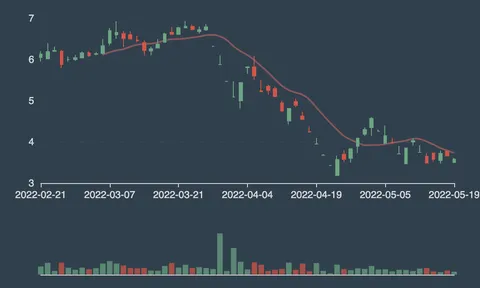 Cổ phiếu HAI bị HOSE cảnh báo lần 2