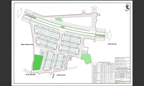 Dự án khu dân cư tại huyện Lục Nam, Bắc Giang: Nhà đầu tư khiếu nại vì bị loại tham gia đấu giá
