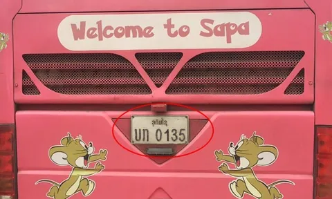 Kiến nghị thanh tra loạt xe gắn biển Lào hoạt động "chui" của Công ty TNHH Thiên Thảo Nguyên