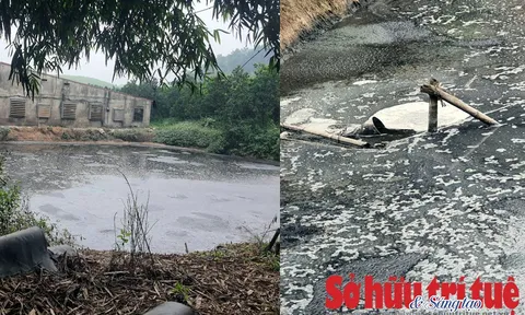 Yên Lập – Phú Thọ: Hơn chục năm sống trong ô nhiễm của trang trại lợn và trách nhiệm của chính quyền địa phương?