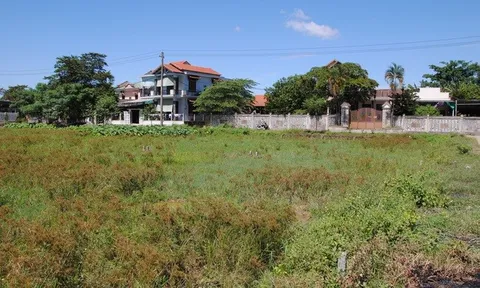 TT-Huế: Yêu cầu xử lý nghiêm các trường hợp tiếp tay trốn thuế bất động sản