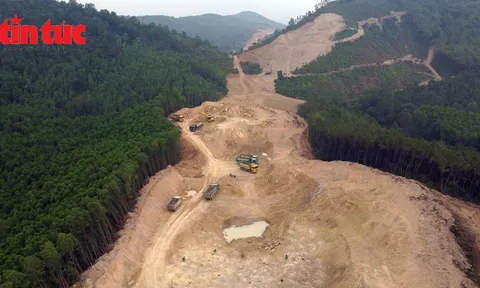 Phải trồng bù hơn 1.000 ha rừng khi làm cao tốc Bắc Nam