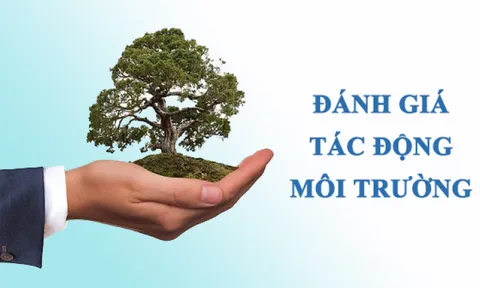 Vi phạm quyết định phê duyệt báo cáo đánh giá tác động môi trường bị xử phạt như thế nào?