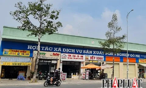 Thường trực Tỉnh ủy Đồng Nai giám sát khiếu nại về sai phạm khu 'đất vàng'