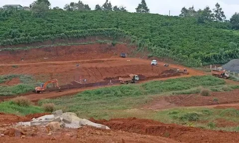 Chấn chỉnh tình trạng san ủi đồi núi để phân lô, bán nền, xây dựng trên đất rừng