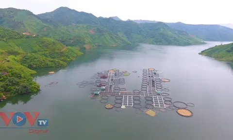 Công ty của ông Đức "Cá tầm" thu về 1.500 tỷ đồng qua kênh trái phiếu