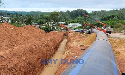 Quảng Ngãi: Chưa được phép, nhà máy Bột - Giấy VNT19 đã vội vã thi công đường ống xả thải hướng ra vịnh Việt Thanh