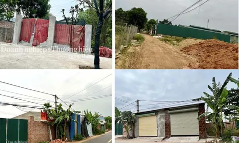 Hoài Đức (Hà Nội): Vi phạm tràn lan trên đất nông nghiệp tại xã Vân Côn