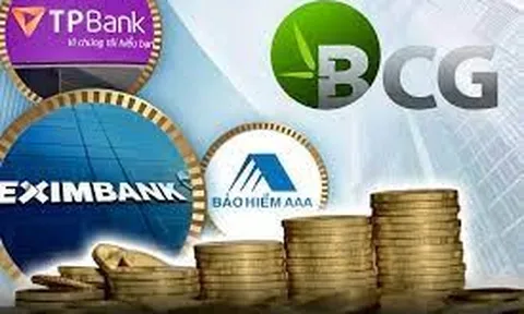 Bamboo Capital làm cách nào để 'cơ cấu tài chính lý tưởng'?