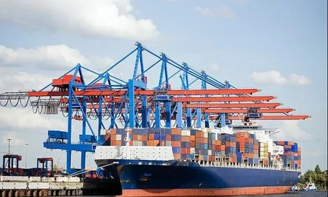 Công ty Hải Minh (HMH) bị truy thu và nộp phạt thuế 128 triệu đồng