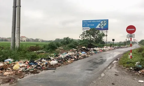 Rác thải tràn lan ven đường gom cao tốc Pháp Vân - Cầu Giẽ