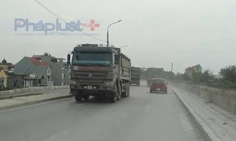 Phạt gần 149 tỷ đồng đối với các hành vi vi phạm về vệ sinh môi trường