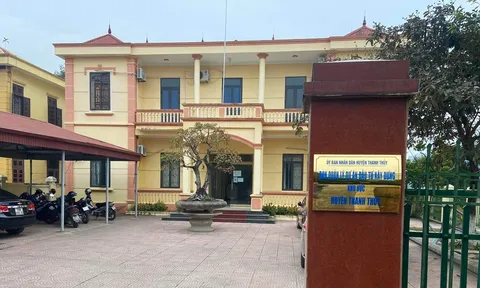 Công ty TNHH Xuân Thiều nghi làm giả hợp đồng tương tự đem đi đấu thầu?