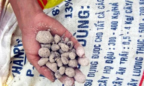 Lâm Đồng: Xử lý nhiều cửa hàng buôn bán phân bón giả, kém chất lượng