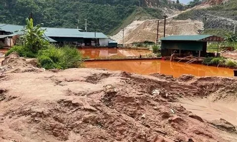 Xử phạt Công ty CP Tân Hoàng Khang vi phạm lĩnh vực đất đai và bảo vệ môi trường