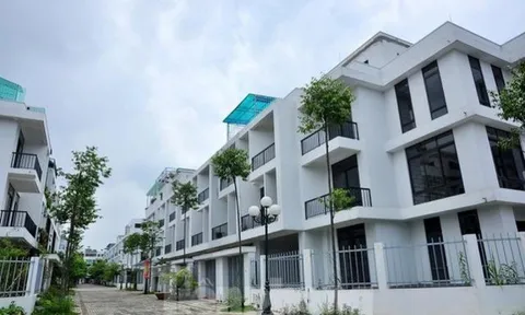 Công ty Cổ phần đầu tư và phát triển Lũng Lô 5 nợ thuế gần 345 tỷ đồng