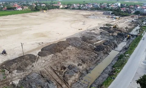 Công ty TNHH Quốc tế LV san lấp trái phép 38.617 m2