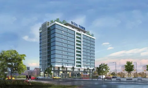 Gian lận trong đấu thầu Công ty CP Đầu tư CIC và Công ty TNHH xây dựng Thành An bị cấm thầu 3 năm