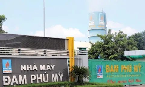 Nhiều “ông lớn” nhà nước lớn đầu tư thua lỗ lớn, sử dụng đất không hiệu quả