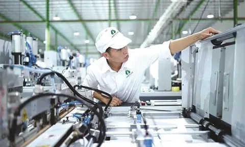 Nhựa Hà Nội (NHH) chào bán thành công 36,44 triệu cổ phiếu để huy động 546 tỷ đồng