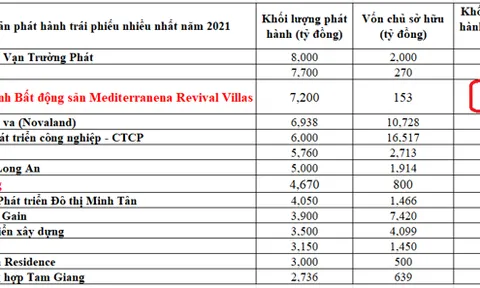 Bóng dáng Masterise Homes trong Top doanh nghiệp phát hành trái phiếu nhiều nhất 2021