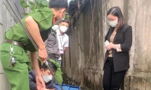 Xả thải gây ô nhiễm môi trường, công ty ở Hải Dương bị phạt 430 triệu đồng