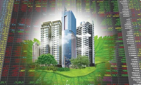 Siết quy định công bố thông tin khi phát hành trái phiếu: Doanh nghiệp sẽ phải công bố những gì?