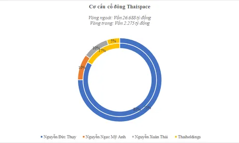 Bầu Thụy giảm vốn điều lệ Thaispace hơn 1 tỷ USD