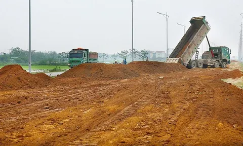 CICO 501 không đối thủ tại nhiều dự án sử dụng đất tại Quảng Nam