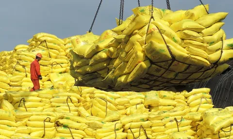 ‘Góc khuất’ ở một tập đoàn nông nghiệp mới nổi có mối liên hệ với T&T Group