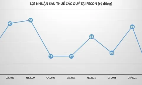 Kinh doanh thua lỗ, Fecon chọn cách huy động vốn qua kênh trái phiếu