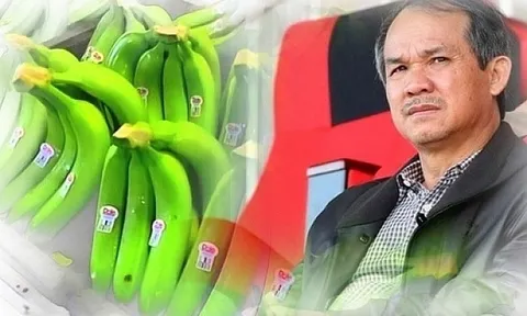 "Khát vốn" trả nợ trái phiếu, HAG muốn phát hành gần 162 triệu cổ phiếu riêng lẻ