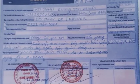 Vì sao chưa xem xét, giải quyết việc Công ty TNHH DK Leather có dấu hiệu lừa đảo chiếm đoạt tài sản