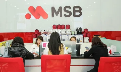 Top 10 ngân hàng mua trái phiếu, phát hành trái phiếu IOC cao gấp 5 lần vốn điều lệ: MSB vẫn không bị thanh tra