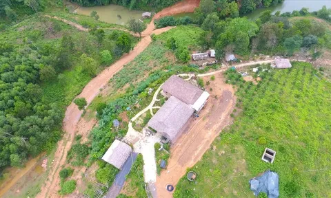 Hòa Bình: Nhiều ha đất rừng bị san lấp, chính quyền phạt cho có?