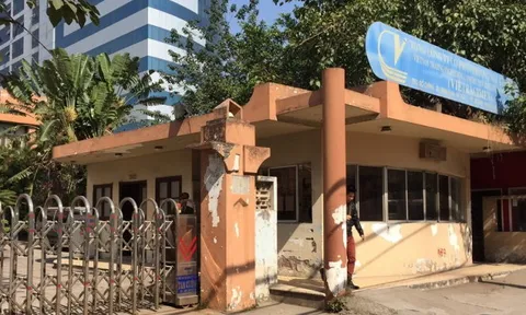 Bức tranh tài chính mang tên hệ sinh thái thương hiệu Vietracimex - WTO