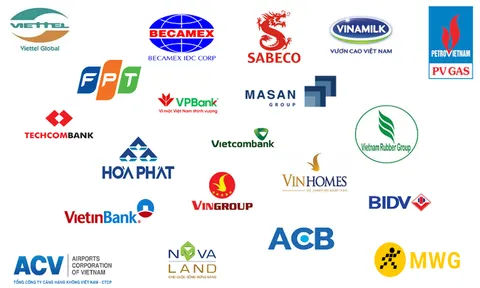 Biến động vốn hóa của 20 doanh nghiệp lớn nhất sau nửa năm: Bộ đôi dầu khí GAS, BSR và Thế giới Di động ngược dòng ấn tượng, Hòa Phát giảm 115.000 tỷ