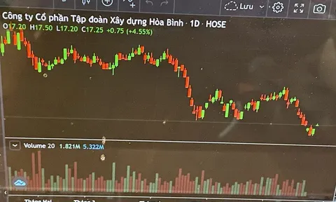 Lãnh đạo nhiều doanh nghiệp chi tiền tỉ cứu giá cổ phiếu đang lao dốc