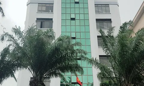 Cổ phiếu DIC Corp giảm sâu nhất sàn HoSE, kế hoạch huy động vốn bằng cổ phiếu liệu có đổ bể?