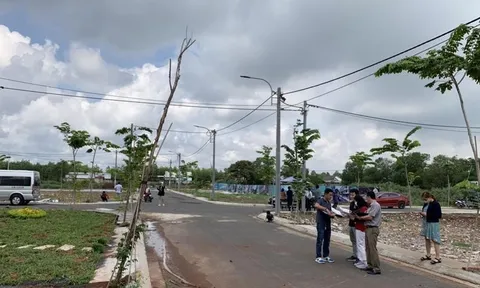 Hồ sơ giao dịch đất đai tăng đột biến ở Đồng Nai
