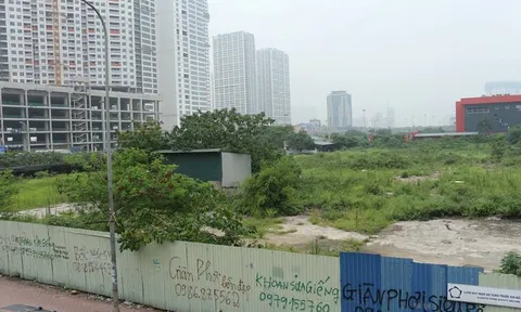 Doanh nghiệp ô tô, bảo hiểm lấn sân kinh doanh BĐS: Ôm đất rồi bỏ hoang