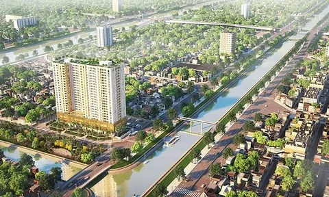 Đình chỉ kinh doanh với dự án Aurora Residences quận 8