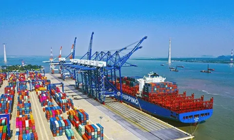 Đề xuất xây dựng bến cảng 35.000 tỷ ở Nam Định